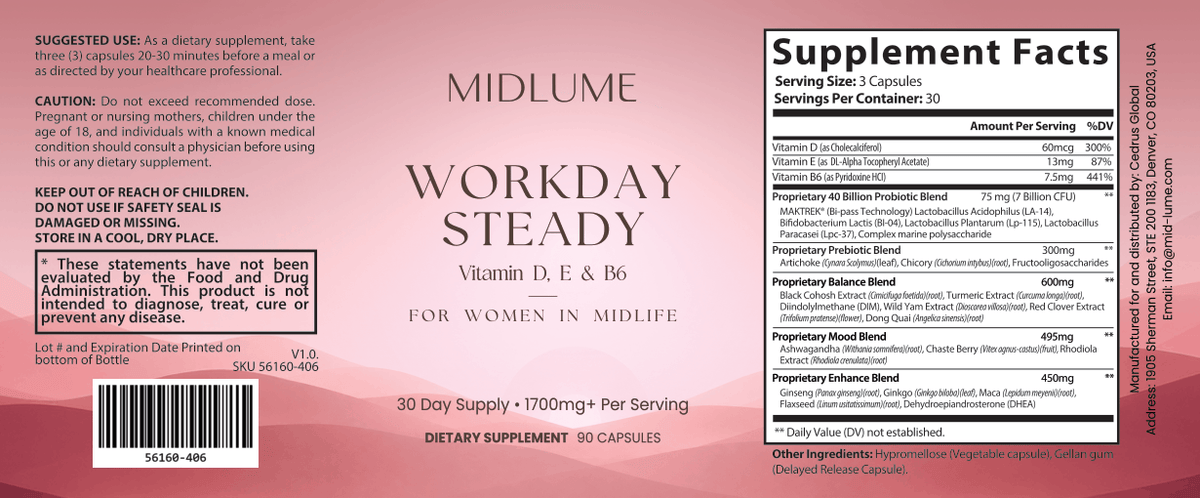 Workday Steady