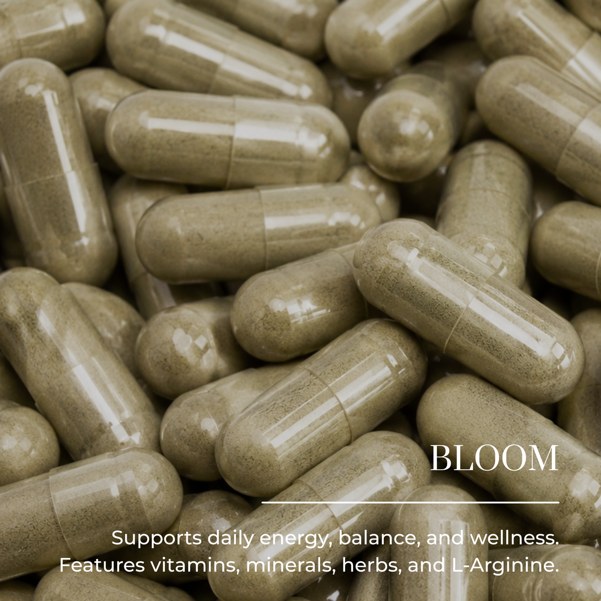 Bloom