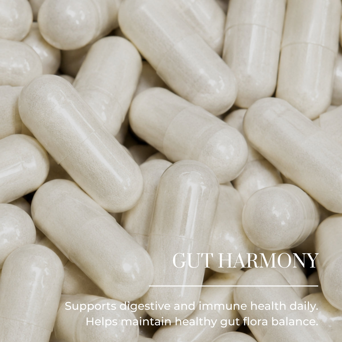 Gut Harmony