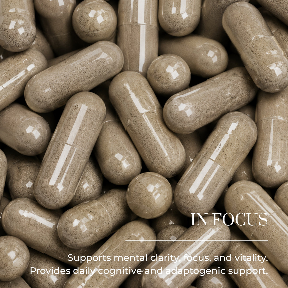 In Focus